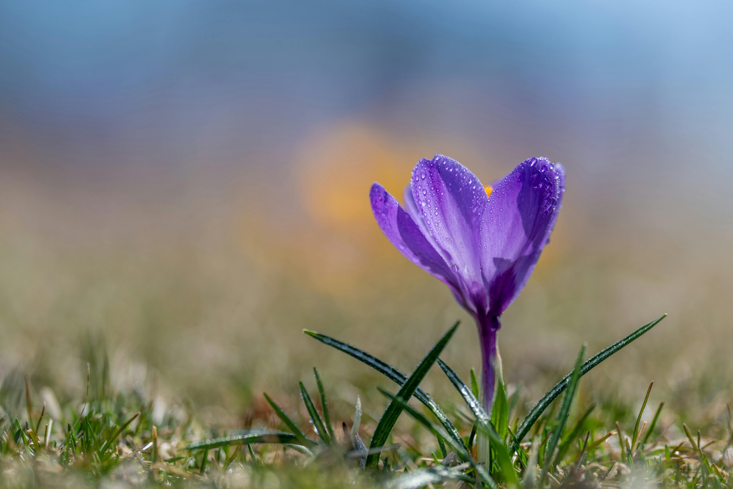 Take a look at our latest Spring 2026 Members’ Magazine